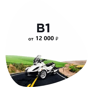 Категория B1
